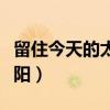 留住今天的太阳阅读理解答案（留住今天的太阳）