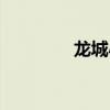 龙城小学官网（龙城小学）