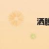 洒脱的歌曲（洒脱的歌）