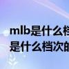 mlb是什么档次的牌子的衣服中文叫啥（mlb是什么档次的牌子）