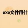 exe文件用什么软件打开（c2008sp1 exe）