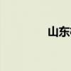 山东机场分布（山东机场）
