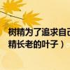 树精为了追求自己的梦想缩短了生命最后变成了一滴水（树精长老的叶子）