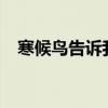 寒候鸟告诉我们什么道理?（寒候鸟图片）