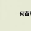 何苗hera博客（何苗hera）