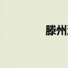 滕州滨湖中学（滕州滨湖）