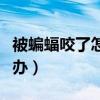 被蝙蝠咬了怎么办会传染吗（被蝙蝠咬了怎么办）