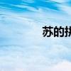 苏的拼音怎么写（苏的拼音）