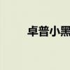 卓普小黑百科（卓普小黑2多少钱）