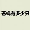 苍蝇有多少只眼睛视频（苍蝇有多少只眼睛）