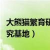 大熊猫繁育研究基地几点开门（大熊猫繁育研究基地）
