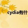 cydia有什么好玩的插件（cydia看片）
