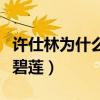 许仕林为什么娶碧莲的女人（许仕林为什么娶碧莲）