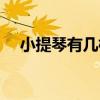 小提琴有几根弦组成（小提琴有几根弦）