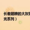 长着翅膀的大灰狼的作品百度网盘（长着翅膀的大灰狼的流光系列）