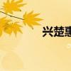 兴楚惠才卡（晋兴卡盟平台）