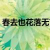 春去也花落无言猜一个字（春去也花落无言）