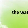 the watcher美剧（cf watcher）
