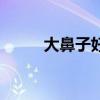 大鼻子好吗（大鼻子有什么好处）