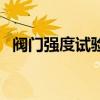 阀门强度试验和严密性试验（严密性试验）