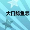 大口鲶鱼怎么做好吃（鲶鱼怎么做好吃）