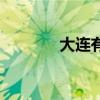 大连有辣庄吗（大连辣妹子）