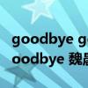 goodbye goodbye 魏晨曲谱（goodbye goodbye 魏晨）