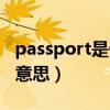 passport是什么意思中文（passport是什么意思）