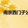 南京西门子公司地址在哪里（南京西门子）