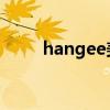 hangee美瞳好不好（美瞳好不好）