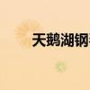 天鹅湖钢琴曲难度（天鹅湖钢琴曲）