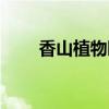 香山植物园几点开门（香山植物园）