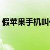 假苹果手机叫什么名字（假苹果手机多少钱）