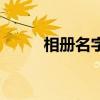 相册名字取什么名字好（相册名）