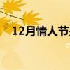 12月情人节是什么情人节（12月情人节）