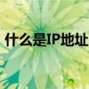 什么是IP地址它有什么特点（什么是ip地址）
