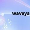 waveya组合视频合集（waveya）