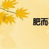肥而不腻的肉（肥而不腻）