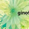 gino包伟铭（gino 包伟铭）