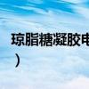 琼脂糖凝胶电泳原理图（琼脂糖凝胶电泳原理）