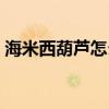 海米西葫芦怎么炒好吃（西葫芦怎么炒好吃）