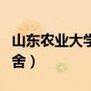 山东农业大学宿舍真实照片（山东农业大学宿舍）