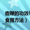 鹿鞭的功效与副作用?（鹿鞭的功效与作用及食用方法）