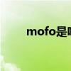 mofo是啥意思(mofos什么意思) mofo是啥意思(mofos什么意思)