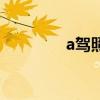 a驾照学费多少钱（a驾照）