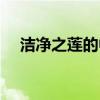 洁净之莲的中心句是哪一句（洁净之莲）
