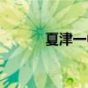 夏津一中老师名单（夏津一中）