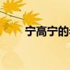 宁高宁的老家（宁高宁是谁的女婿）