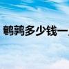 鹌鹑多少钱一只哪里有卖（鹌鹑多少钱一只）
