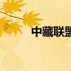 中藏联盟网上商城（中藏联盟网）